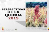 Perspectivas Quina 2015
