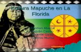 Kultura Mapuche en La Florida