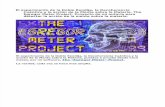 The "EGREGOR" Meter Project (by Nelson Ressio)