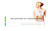 Metabolismo de Carbohidrato Parte I
