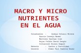 Macro y Micro nutrientes del Agua
