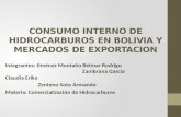 Consumo Interno de Hidrocarburos en Bolivia y Mercados