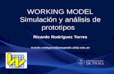 Working Model 2D - Rodríguez