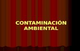 6 Contaminación Ambiental 2014 2