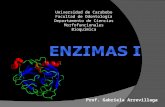 Enzimas I[1]Bioquimica