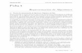 Ficha 03 - Representación de Algoritmos [Python]