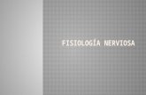 Fisiologia Nerviosa