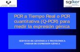 PCR a Tiempo Real