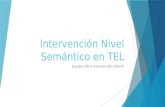 Intervencion Nivel Semantico en TEL.pptx