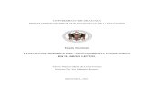 Evaluacion Dinamica Del Procesamiento Fonologico en El Inicio Lector (Osa de La Fuentes)