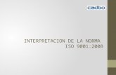 Interpretación de La Norma 9001-2008