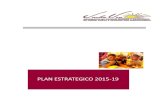 Plan Estratégico 2015-19