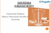 1 Sistema Financiero