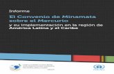 Informe Del PNUMA Sobre El Convenio Minamata