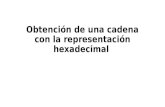2.14 Obtencion de Cadenas Con Representacion Hedecimal
