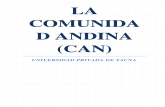 Ensayo La Comunidad Andina