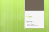 Presentacion Algas (1)