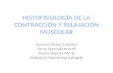 Histofisiologia de la contraccion muscular