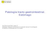 2. Patologia Gastrica