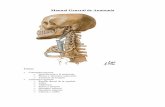 Apunte de Generalidades de Anatomia UFT