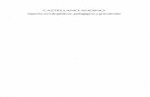 050. Castellano andino. Aspectos sociolingüístico, pedagógicos y gramaticales.pdf