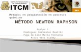 Método Newton Raphson