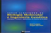 Biología Molecular e Ingeniería Genética [Libro]