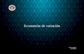 Economias de Variacion