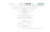 AMPLIFICADORES BASICO.pdf