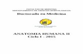 Manual Anatomía humana II . Doctorado en Medicina  Ciclo I - 2015 (1).pdf