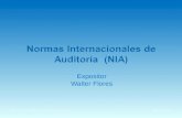 Normas Internacionales de Auditoria Presentación de Todas Las Normas