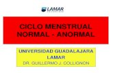 Ciclo Menstrual Anormal