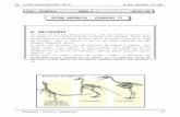 III Bim - 5to. año - Bio - Guía 7 - Reino Animalia - cordado.doc
