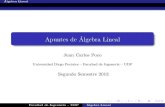 Algebra Lineal Apuntes FDI UDP.pdf