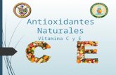 Antioxidantes Vitamina C