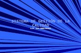 SALUD - GESTION DE CALIDAD.pptx