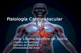 Fisiologia Cardiaca NUEVA 2014