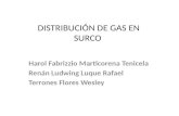 Distribución de Gas (Trabajo)