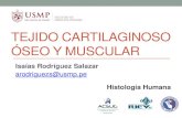 Tejido Cartilaginoso, Oseo y Muscular