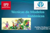 Técnicas de Modelos Sistémicos (1)