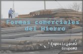 Presentacion, Formas Comerciales Del Hierro