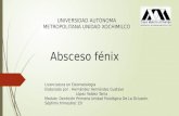 Expo Absceso Fenix