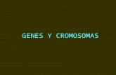 Genes y Cromosomas