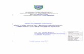 tesis RSE aplicada a la estrategia de las empresas.pdf