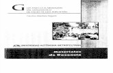 Guia de Elaboracion del DiagnÃ³stico de Salud de Una PoblaciÃ³n Dra.Carolina.pdf