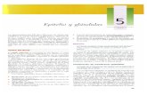 EPITELIOGartner, Leslie P. - Tex...itelio y glándulas].pdf”