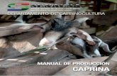 Manual Caprinos