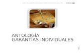 Antología de Garantías Individuales (1)