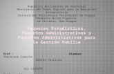 Paquetes Estadisticos, Paquetes Administrativos y Paqueter Administrativos Para La Gestión Publica.