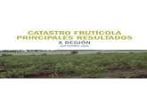 Catastro Fruticola X 09_2006